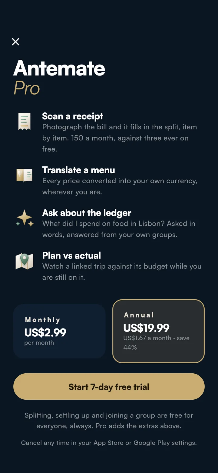 The Pro screen in the app: US$2.99 a month or US$19.99 a year, with the four things it buys listed and a trial that needs no card.